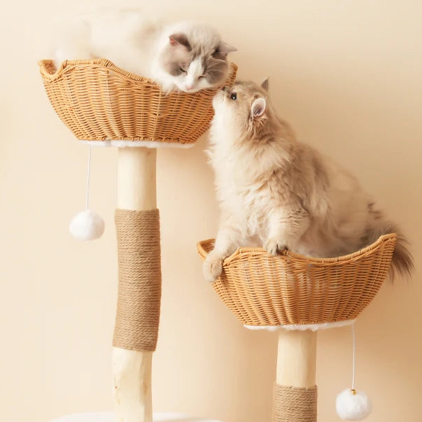 Arbre à chat en bois naturel