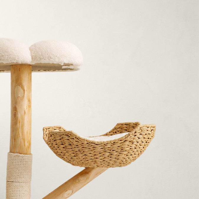 Arbre à chat en bois naturel luxe - Bofélin - 5