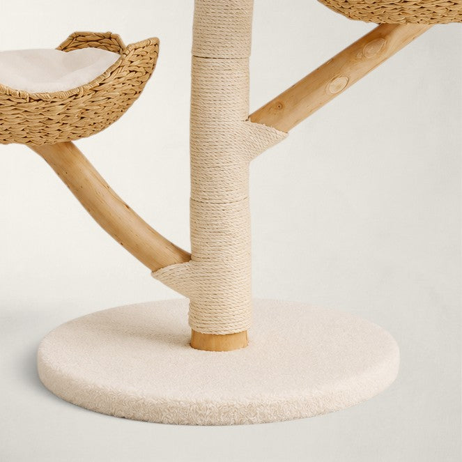 Arbre à chat en bois naturel luxe - Bofélin - 6