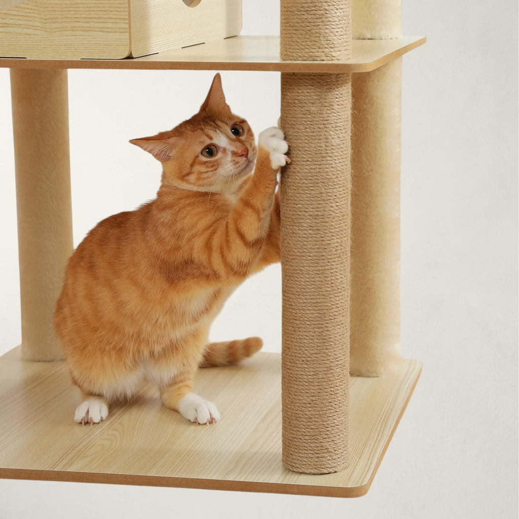Arbre à chat en bois XXL - Bofélin - 10