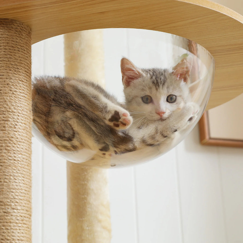 Arbre à chat en bois XXL - Bofélin - 5