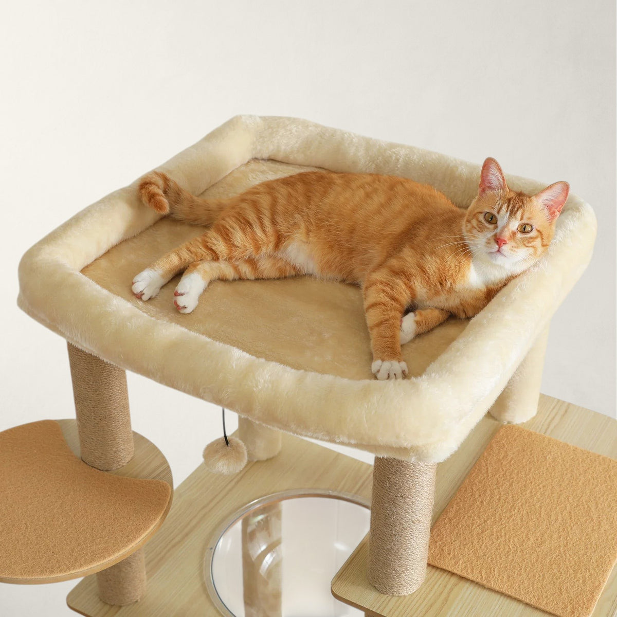Arbre à chat en bois XXL - Bofélin - 7