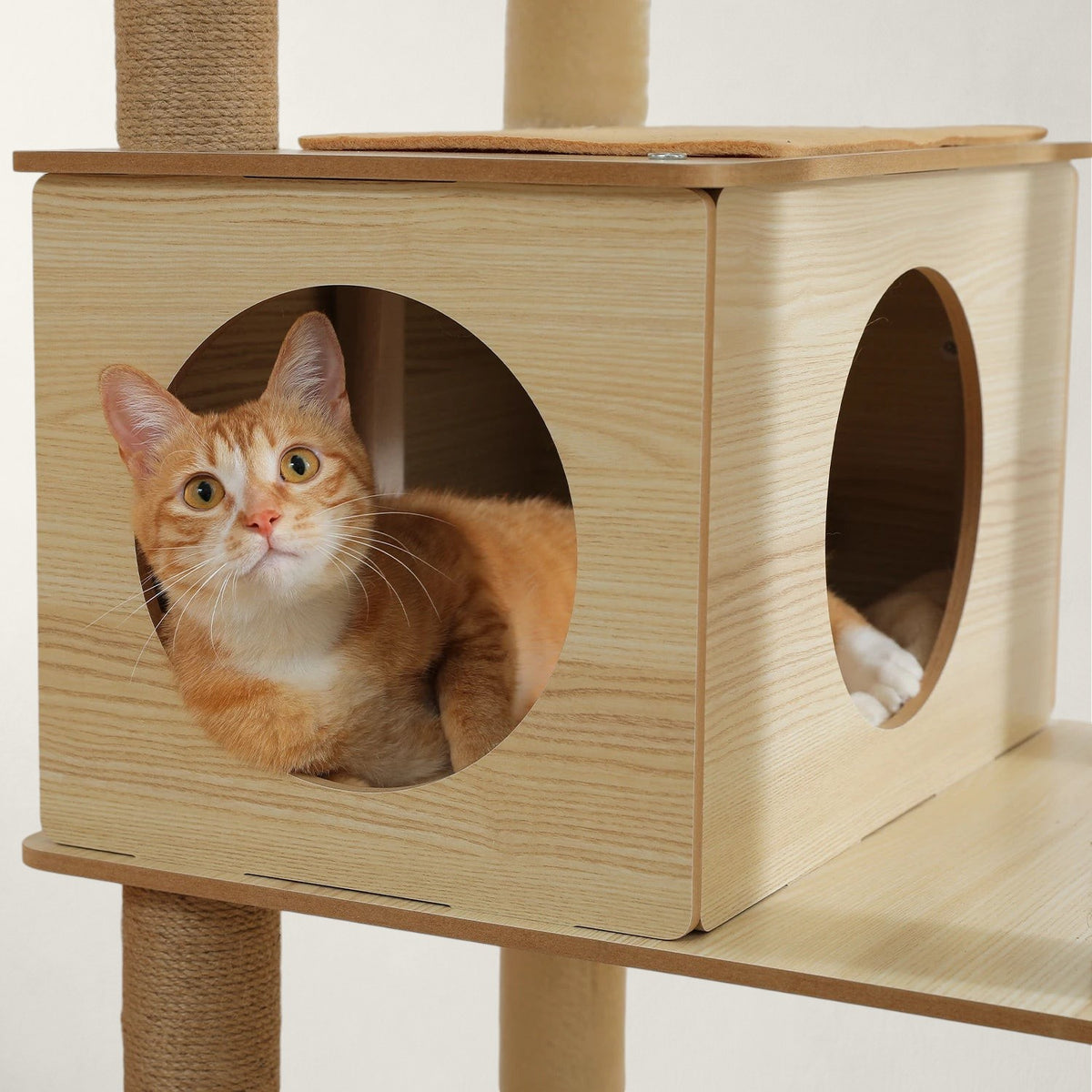 Arbre à chat en bois XXL - Bofélin - 8