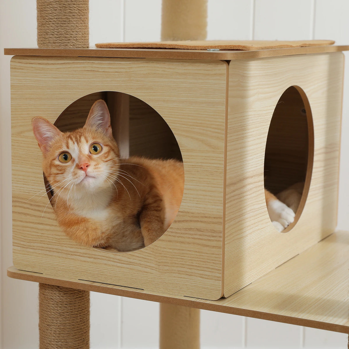 Arbre à chat en bois xxl