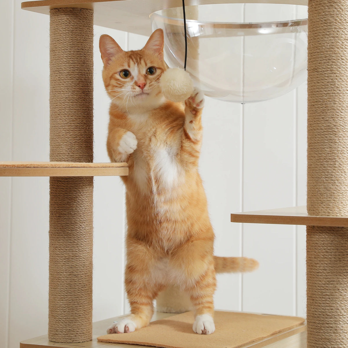 Arbre à chat en bois xxl