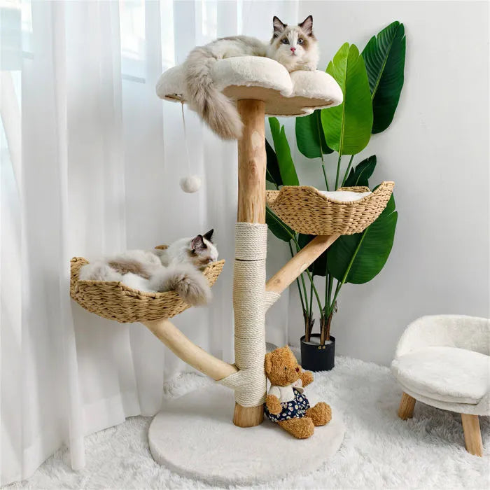 Arbre à chat en bois naturel luxe - Bofélin - 8