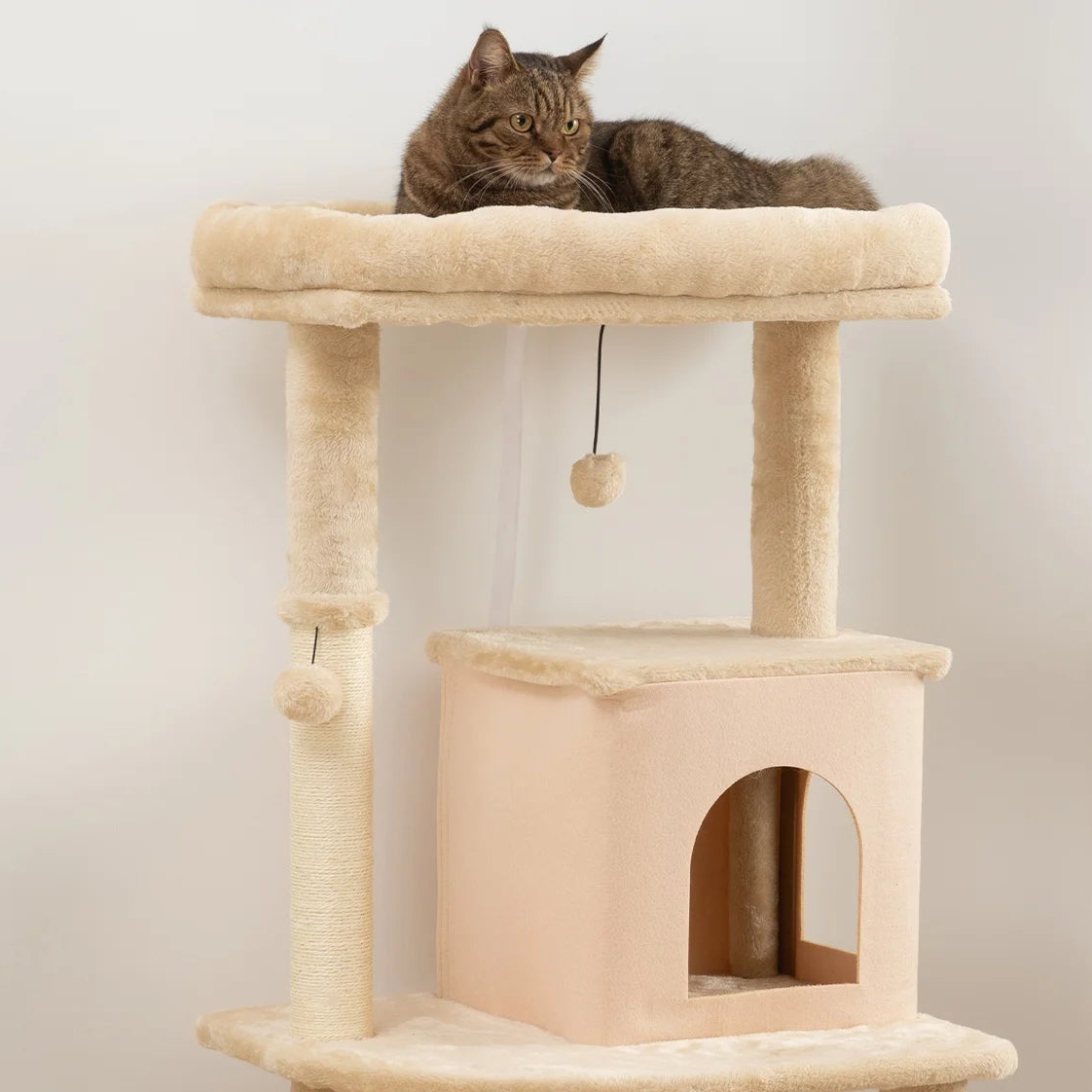 Arbre à chat grand plateau