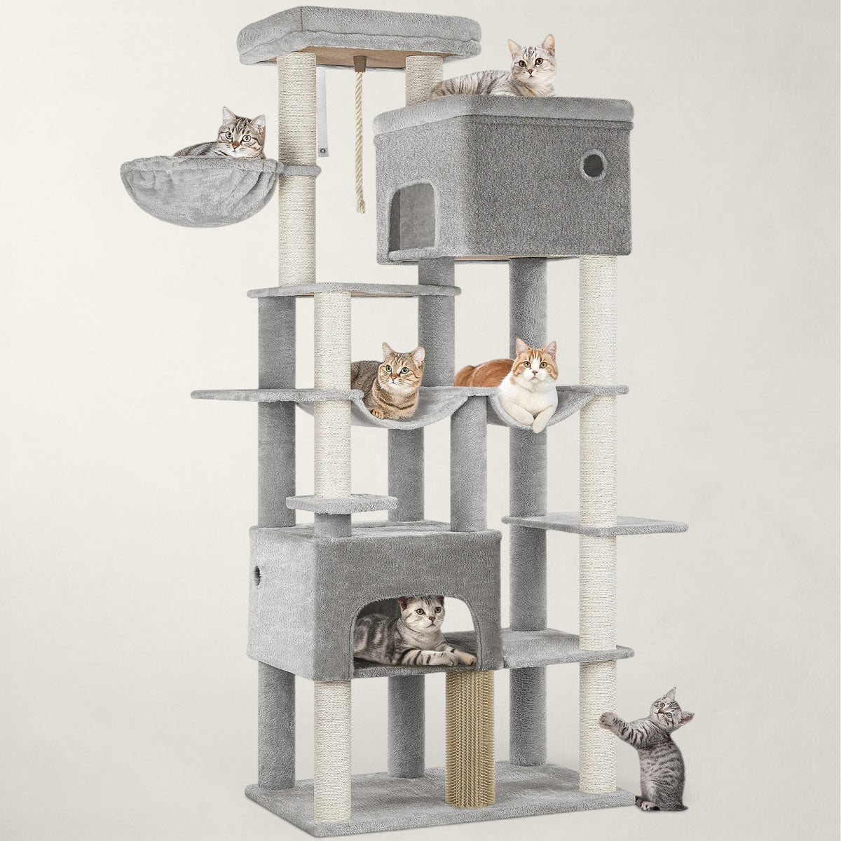 Arbre à chat Maine Coon XXL - Bofélin - 9