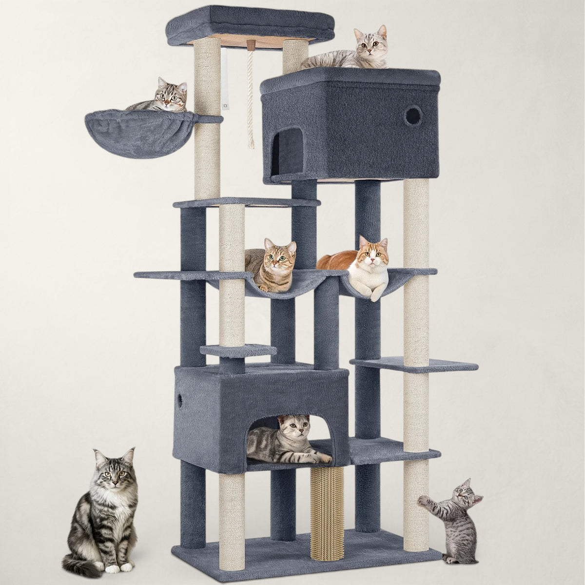 Arbre à chat Maine Coon XXL - Bofélin - 8
