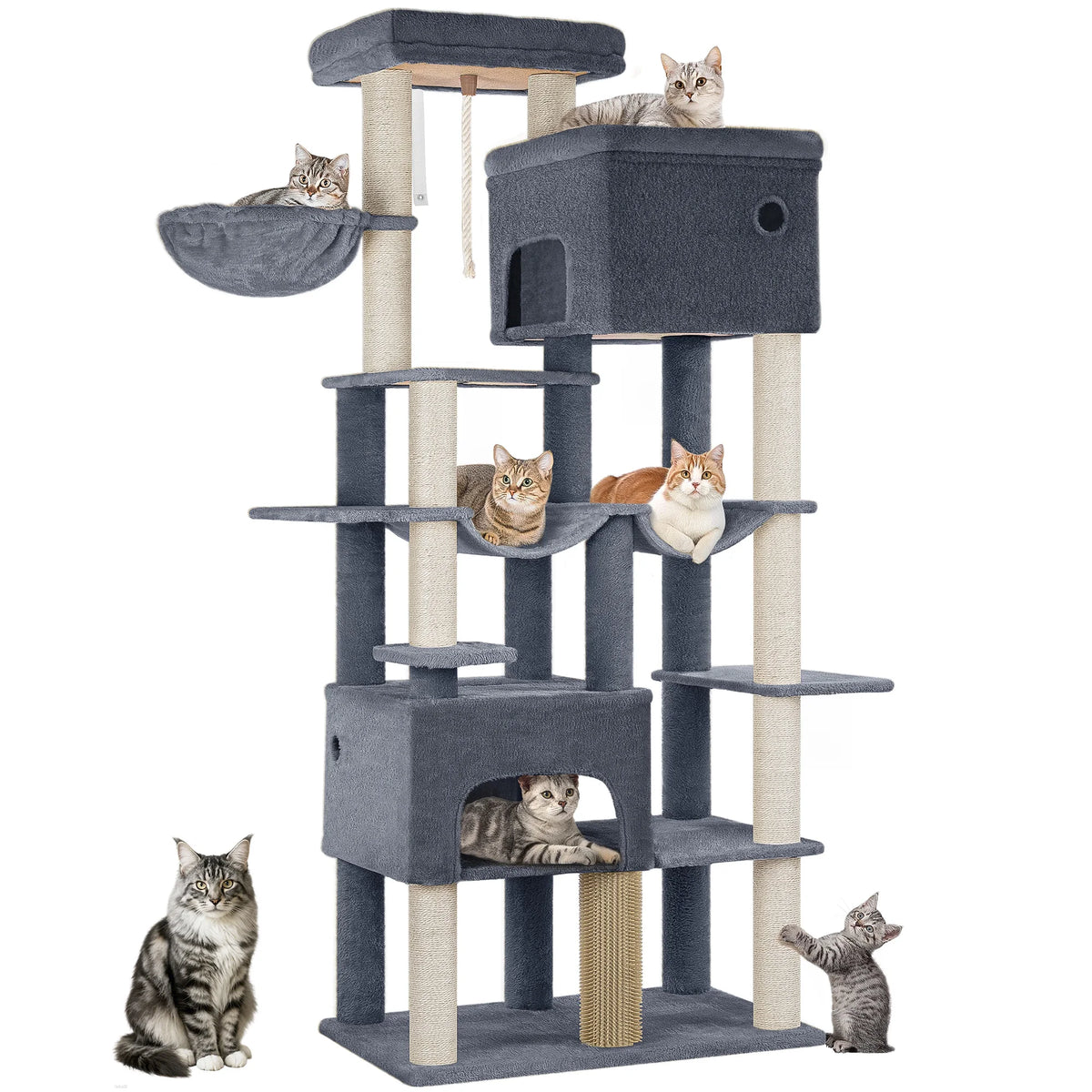 Arbre à chat main coon xxl