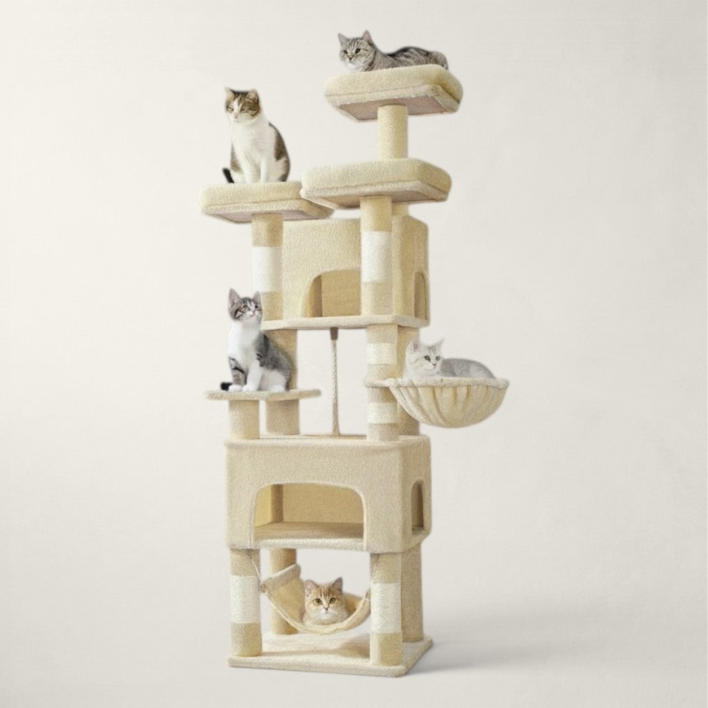 Arbre à chat Maine Coon beige - Bofélin - 2
