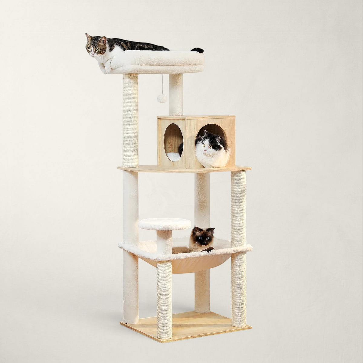 Arbre à chat Maine Coon en bois - Bofélin - 11