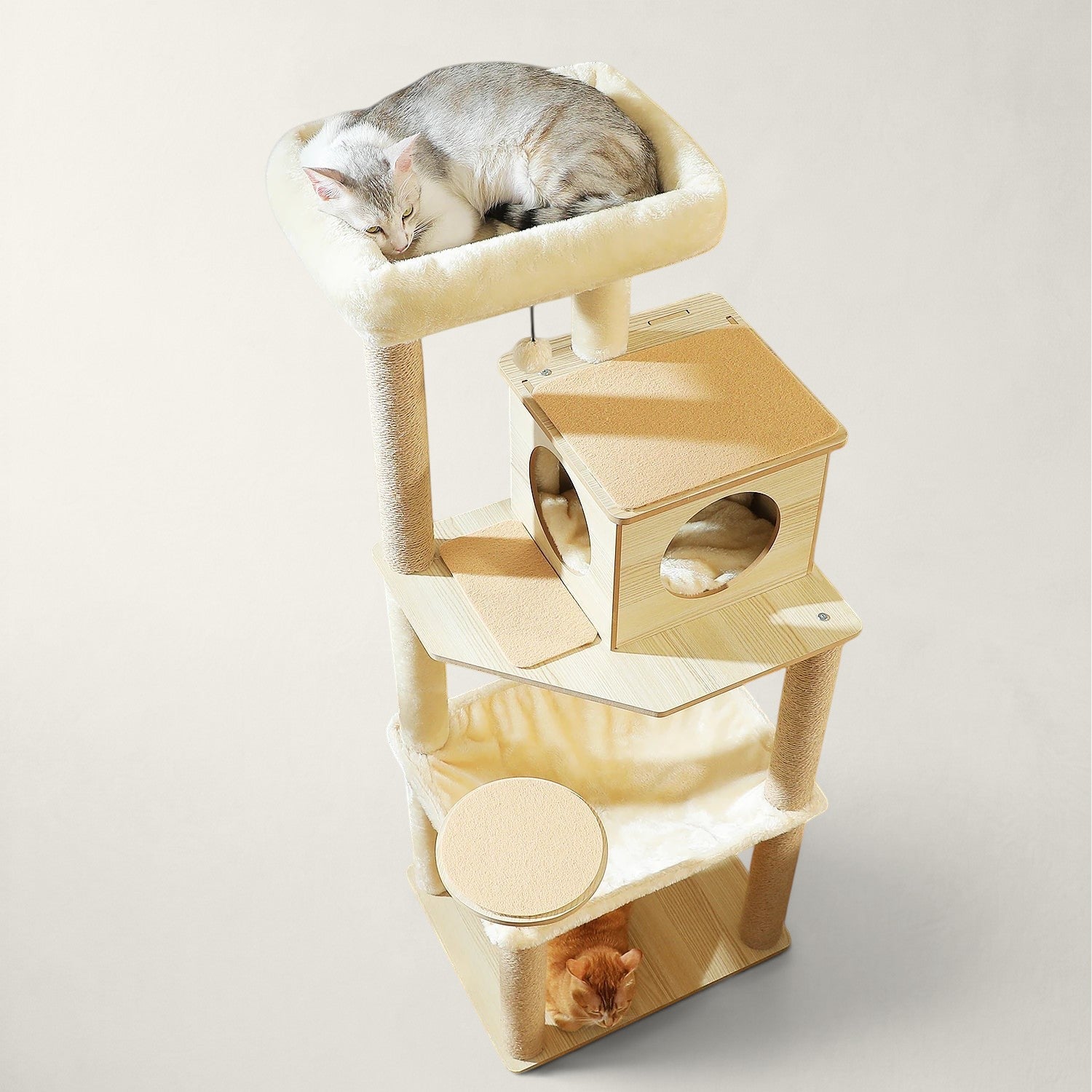 Arbre à chat Maine Coon en bois - Bofélin - 19 Image