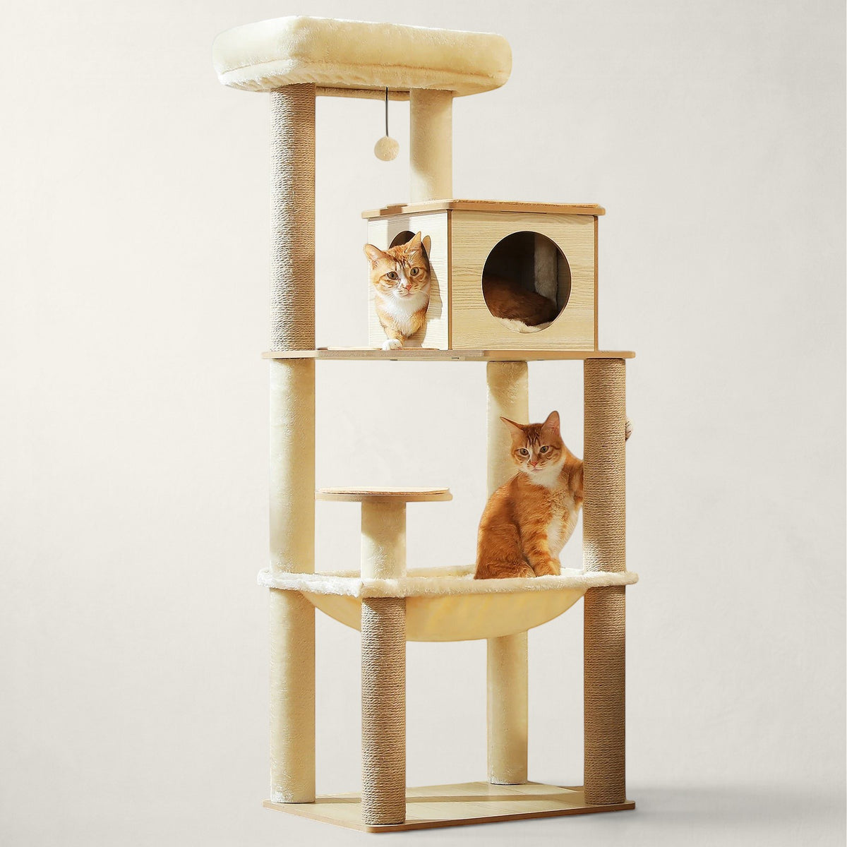 Arbre à chat Maine Coon en bois - Bofélin - 2