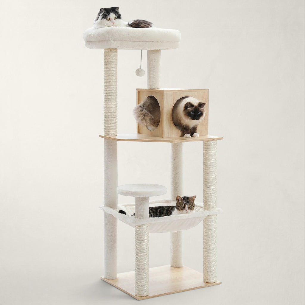 Arbre à chat Maine Coon en bois Silva Bofélin 4