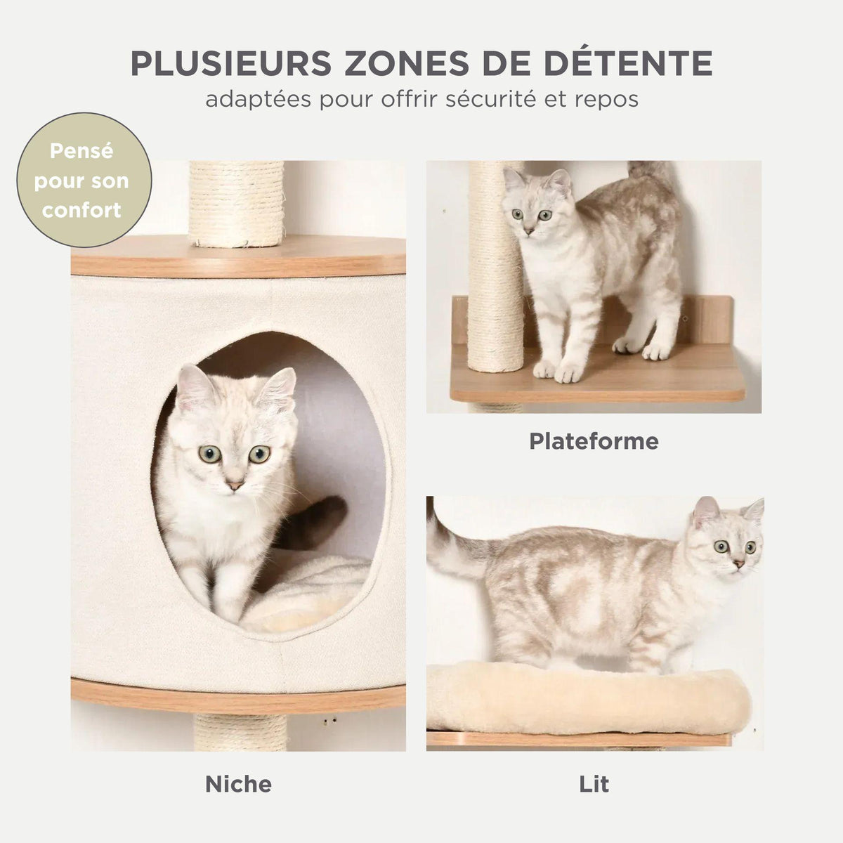 Arbre à chat mural bois