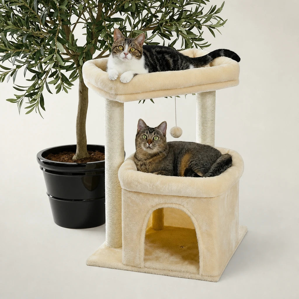 Arbre à chat petit espace Pax Bofélin en situation