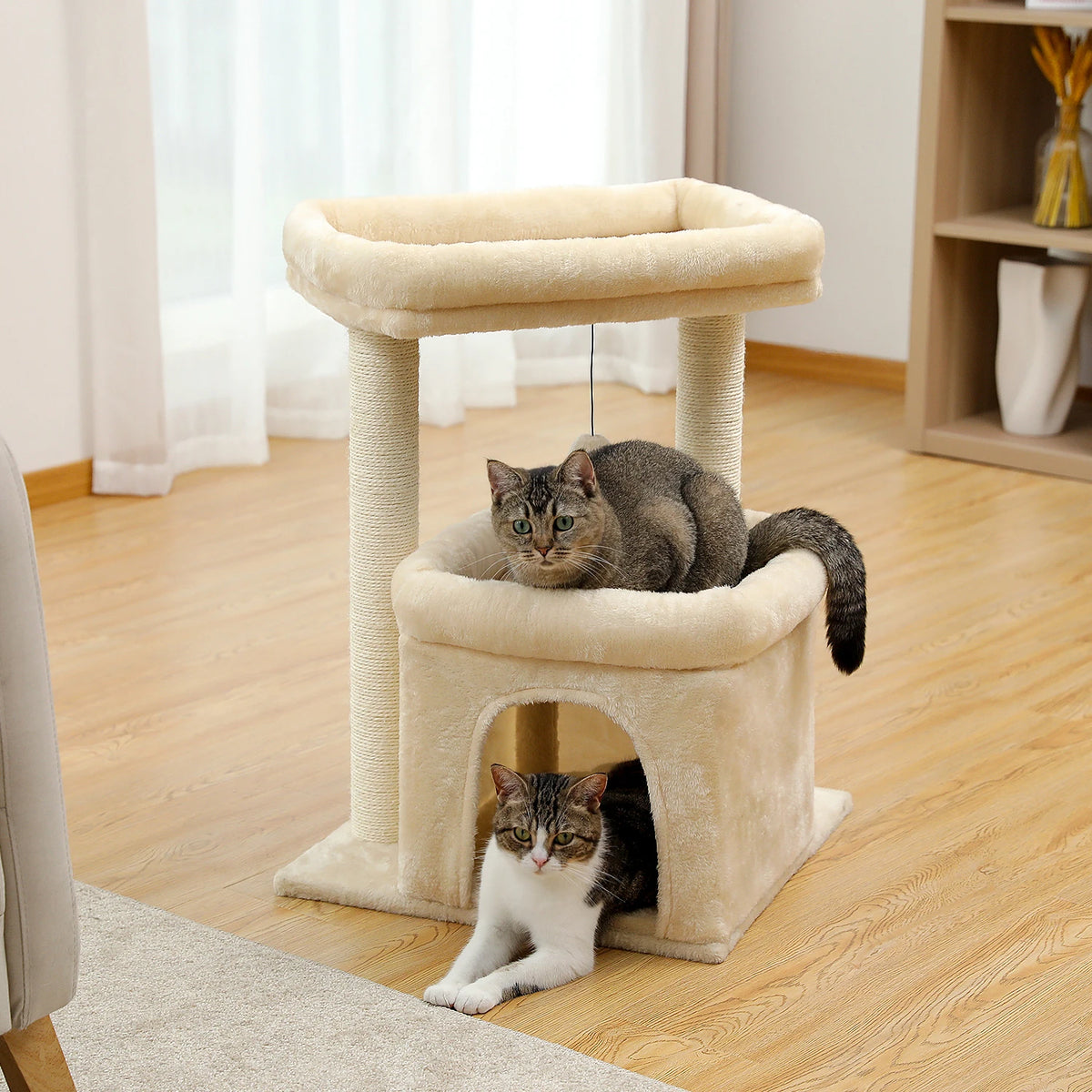 Arbre à chat petit espace
