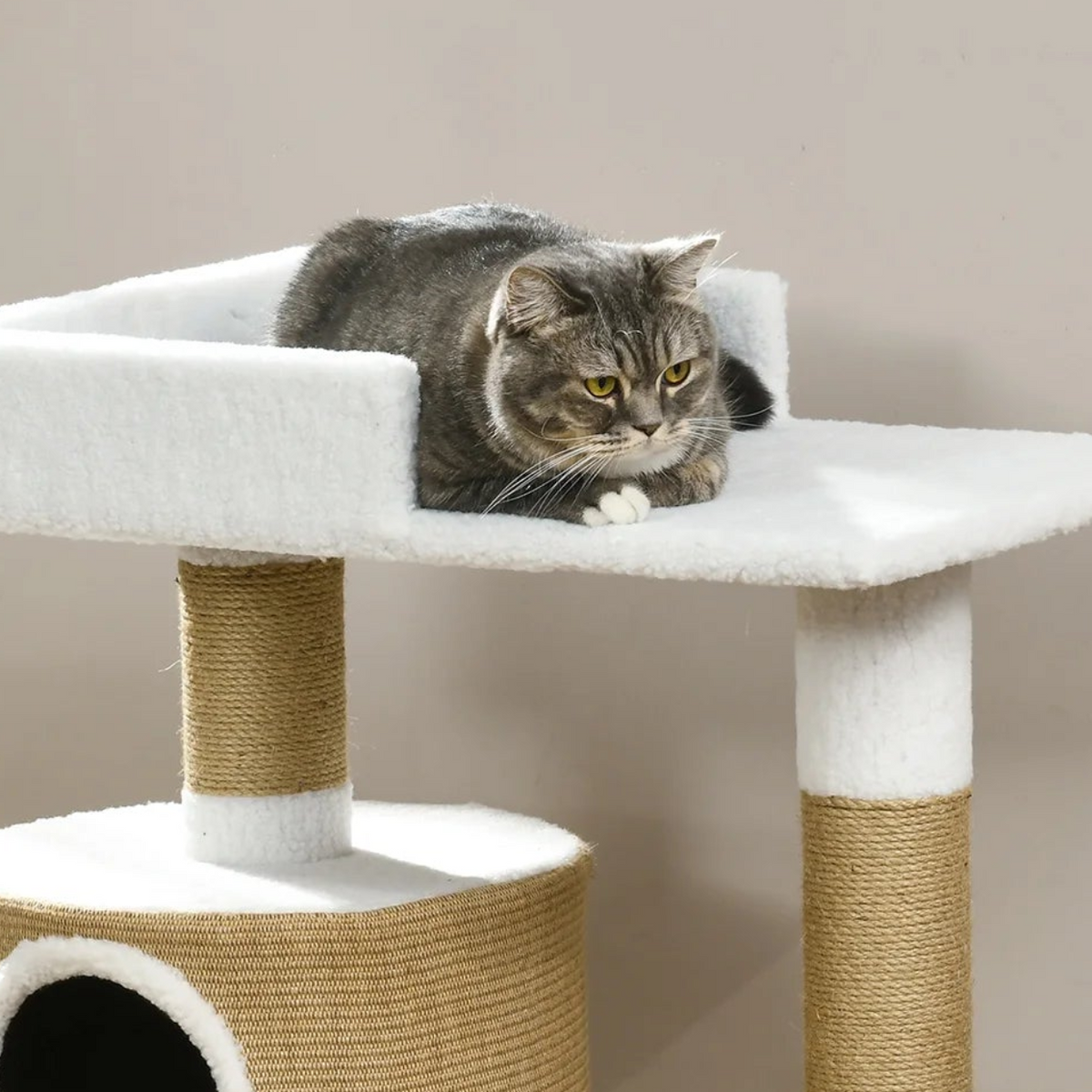 Arbre à chat petit