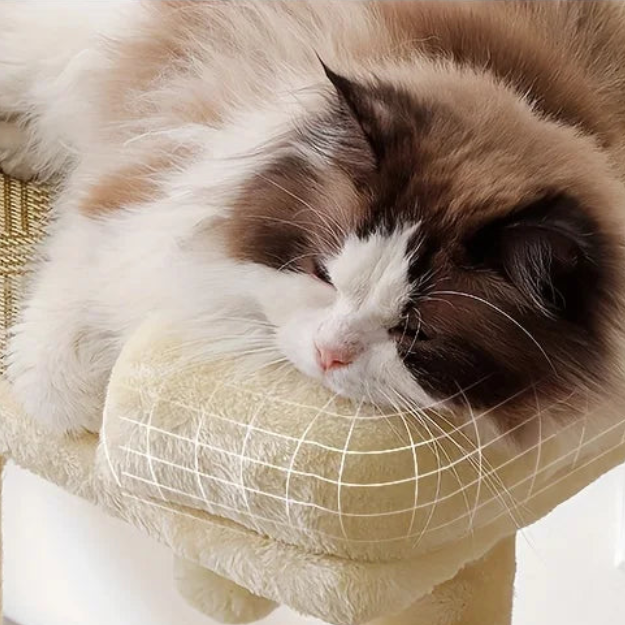 Arbre à chat pour maine coon adulte
