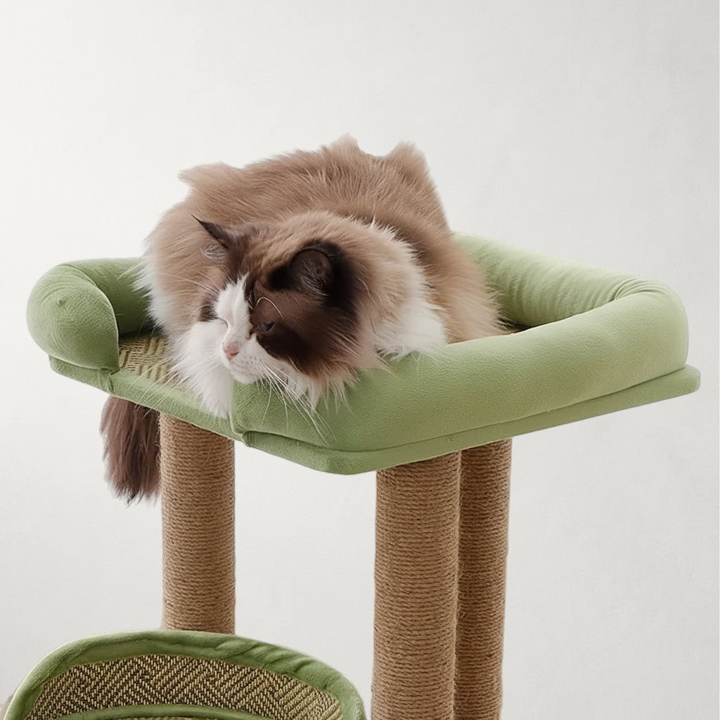Arbre à chat pour Maine Coon adulte - Bofélin - 4