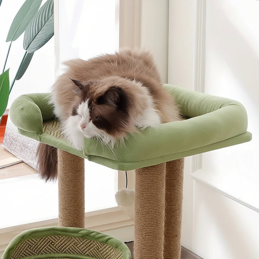 Arbre à chat pour maine coon adulte