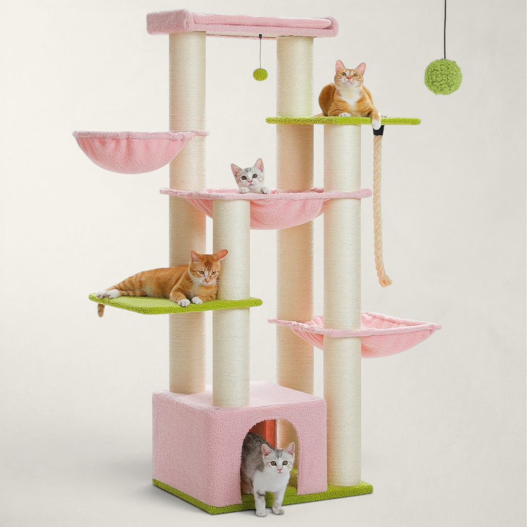 Arbre à chat pour maine coon - Bofélin - 3