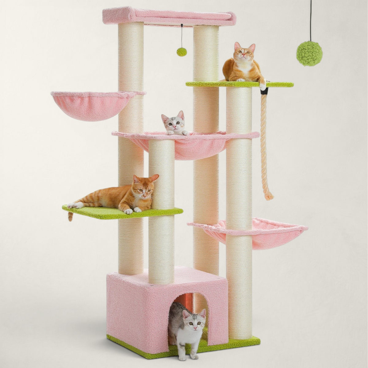 Arbre à chat pour maine coon - Bofélin - 3