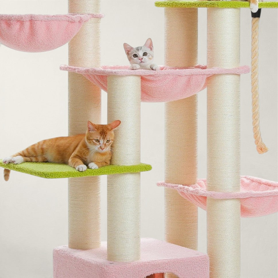 Arbre à chat pour maine coon - Bofélin - 4