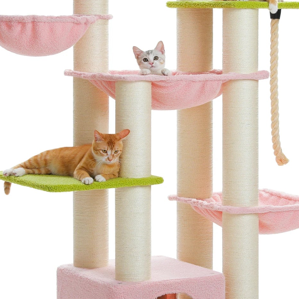 Arbre à chat pour maine coon - Bofélin - 4