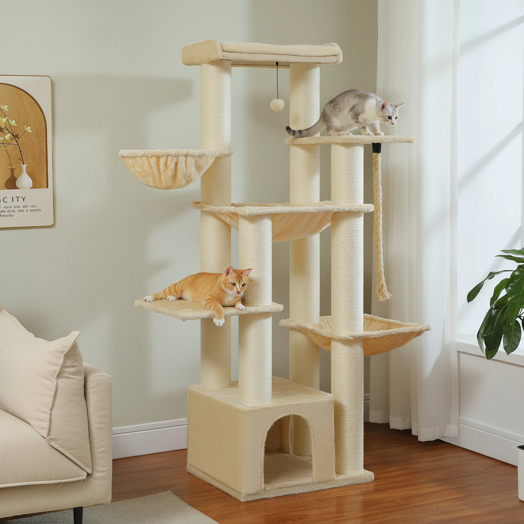 Arbre à chat pour maine coon - Bofélin - 6