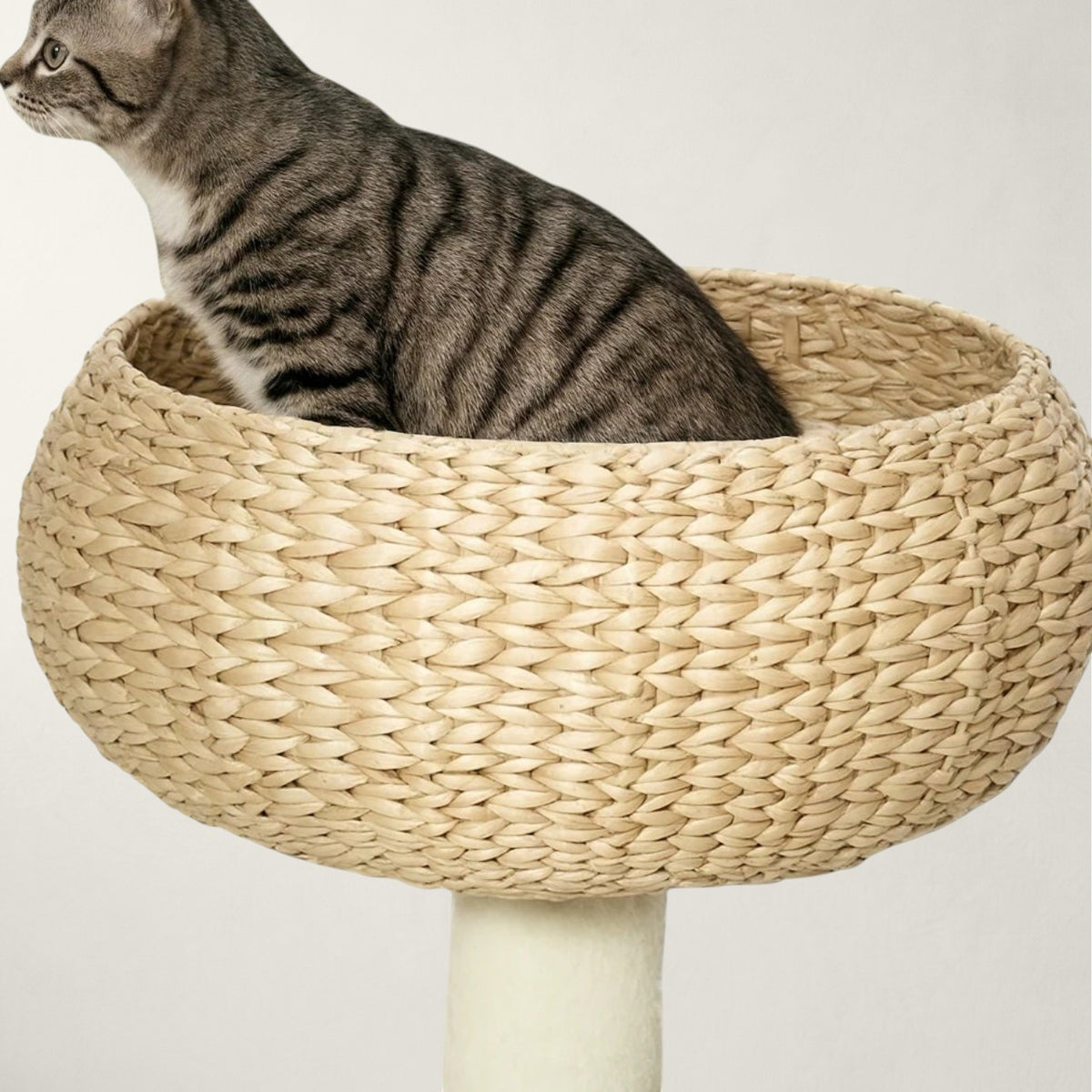 Arbre à chat pour petit espace - Bofélin - 5