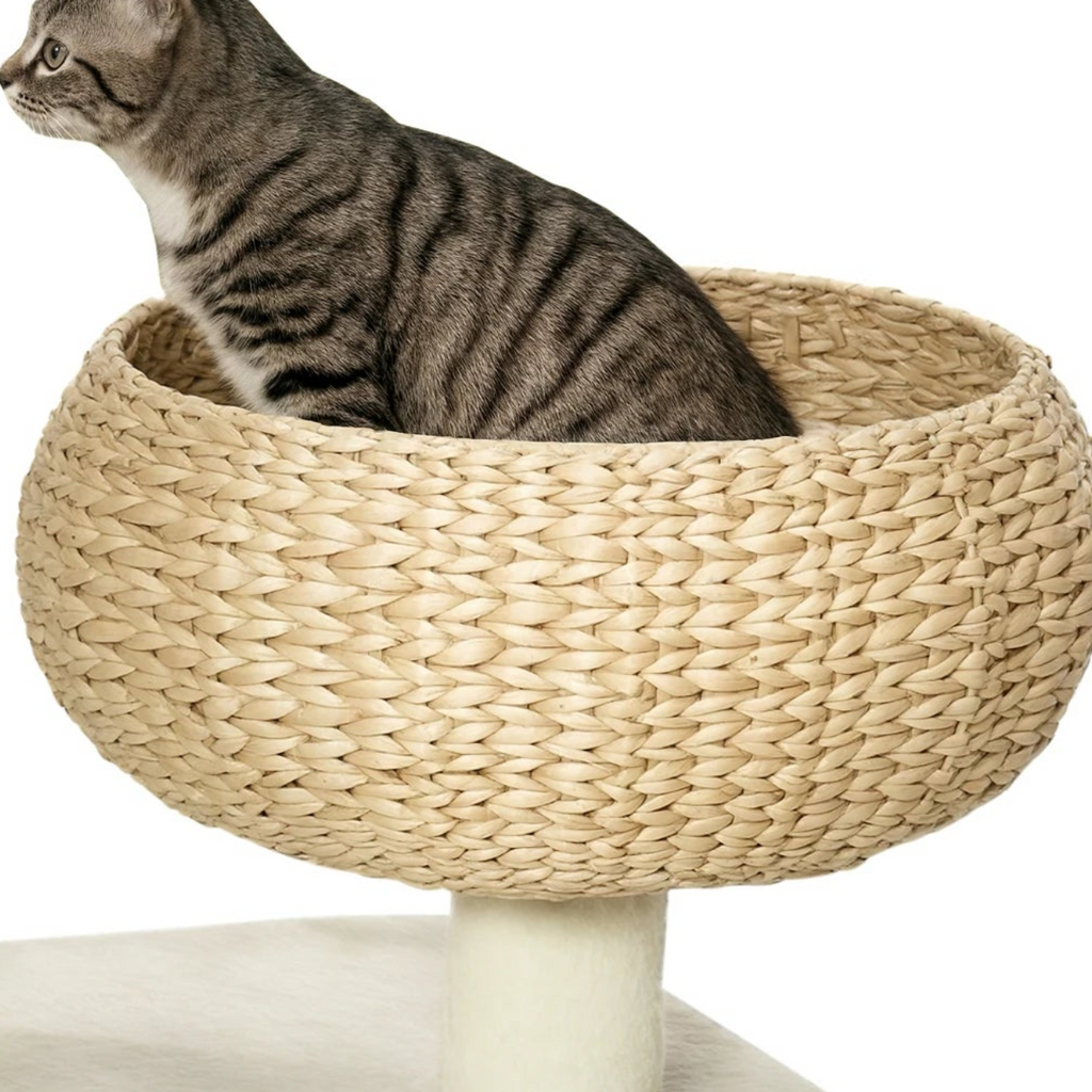 Arbre à chat pour petit espace - Bofélin - 5