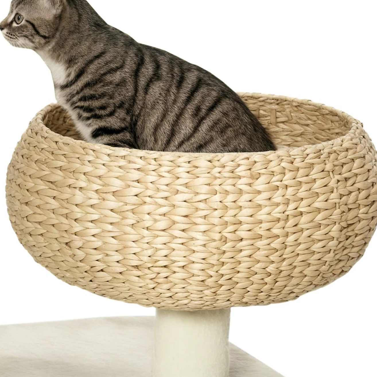 Arbre à chat pour petit espace - Bofélin - 5 Image