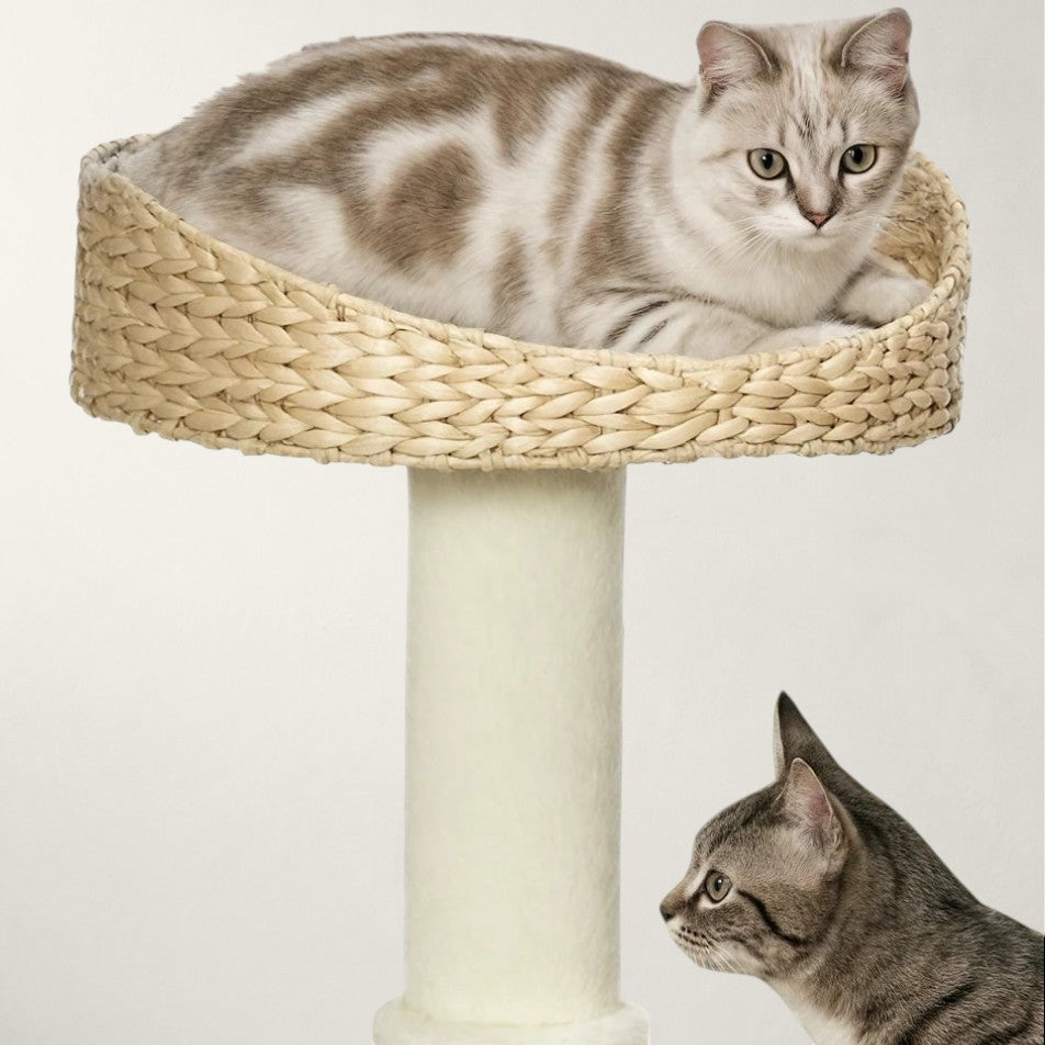Arbre à chat pour petit espace - Bofélin - 6
