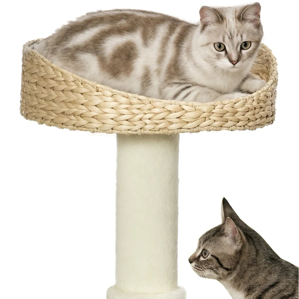 Arbre à chat pour petit espace