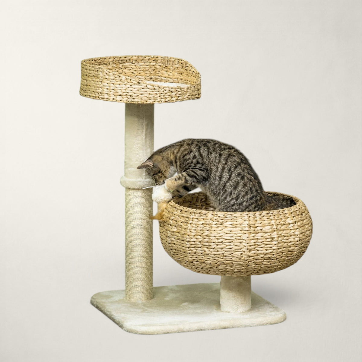 Arbre à chat pour petit espace - Bofélin - 3