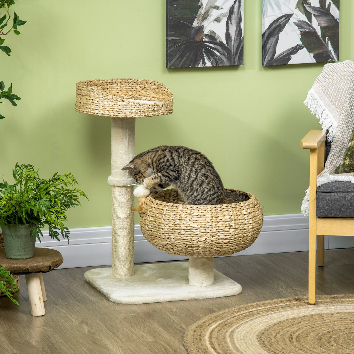 Arbre à chat pour petit espace