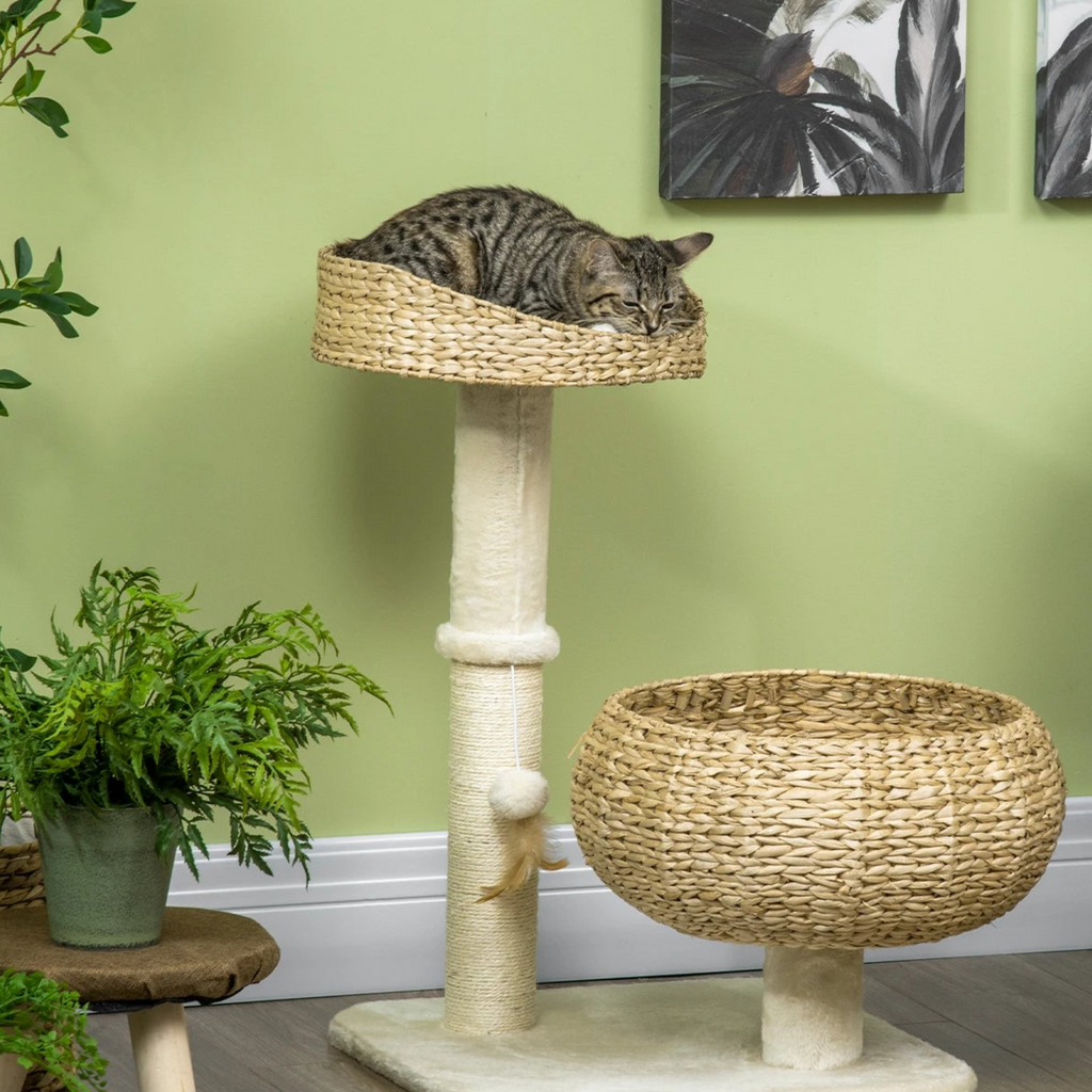 Arbre à chat pour petit espace - Bofélin - 2