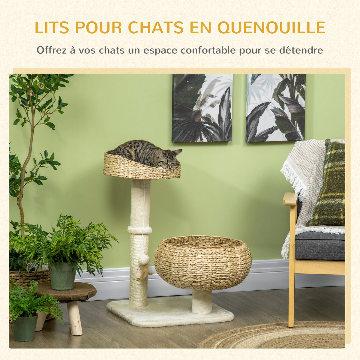 Arbre à chat pour petit espace