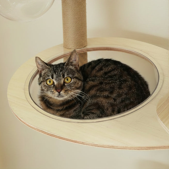 Arbre à chat sol au plafond bois