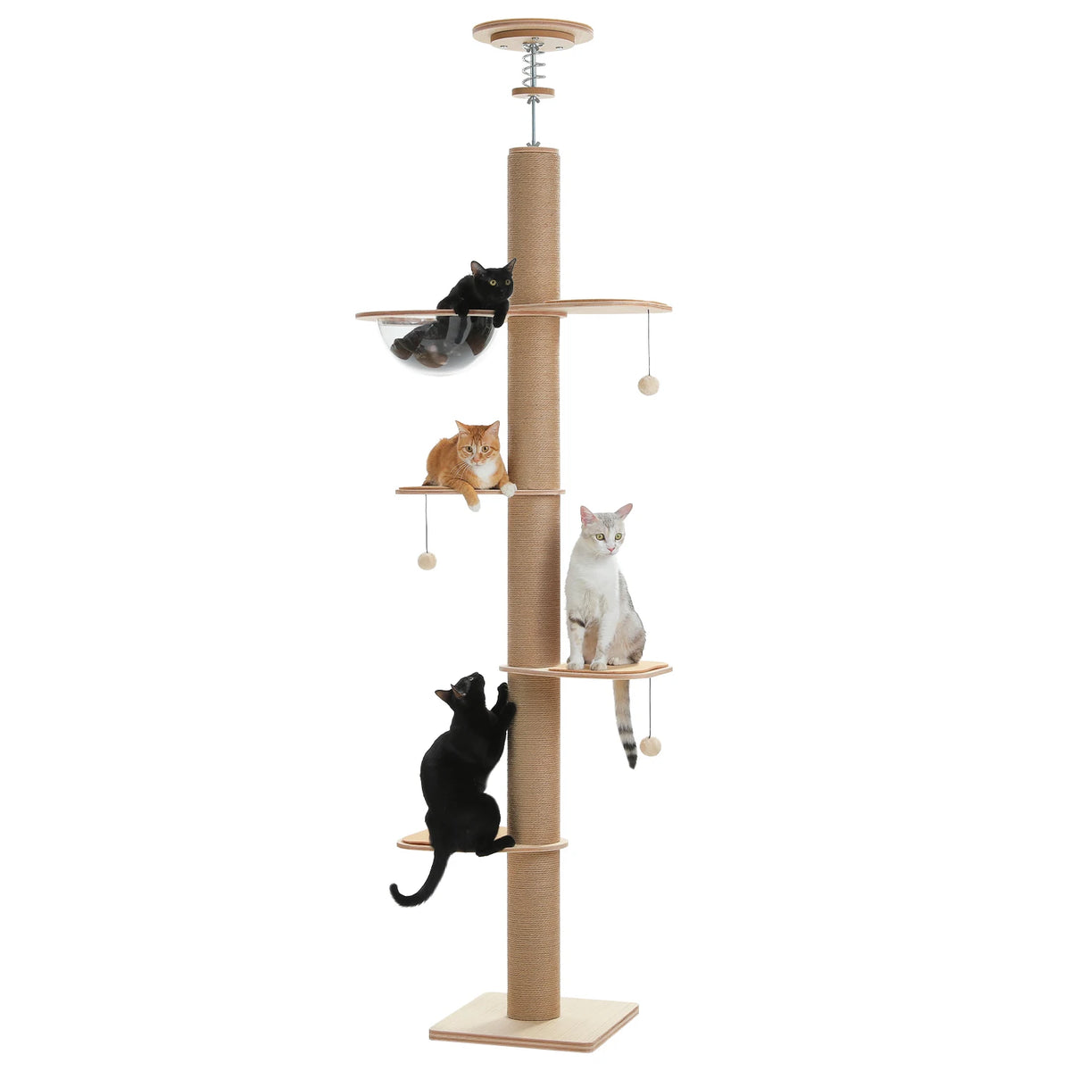 Arbre à chat sol au plafond bois