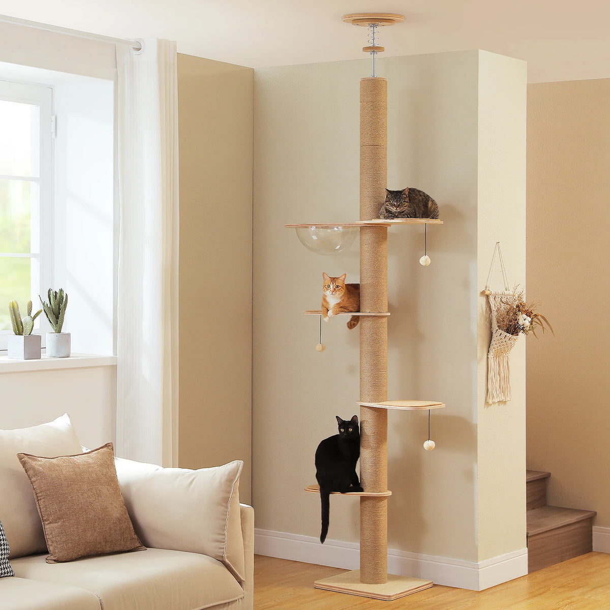 Arbre à chat sol au plafond bois