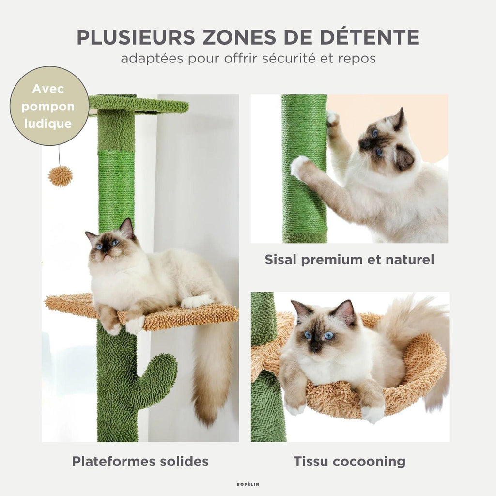Arbre à chat sol plafond original - Bofélin - 4