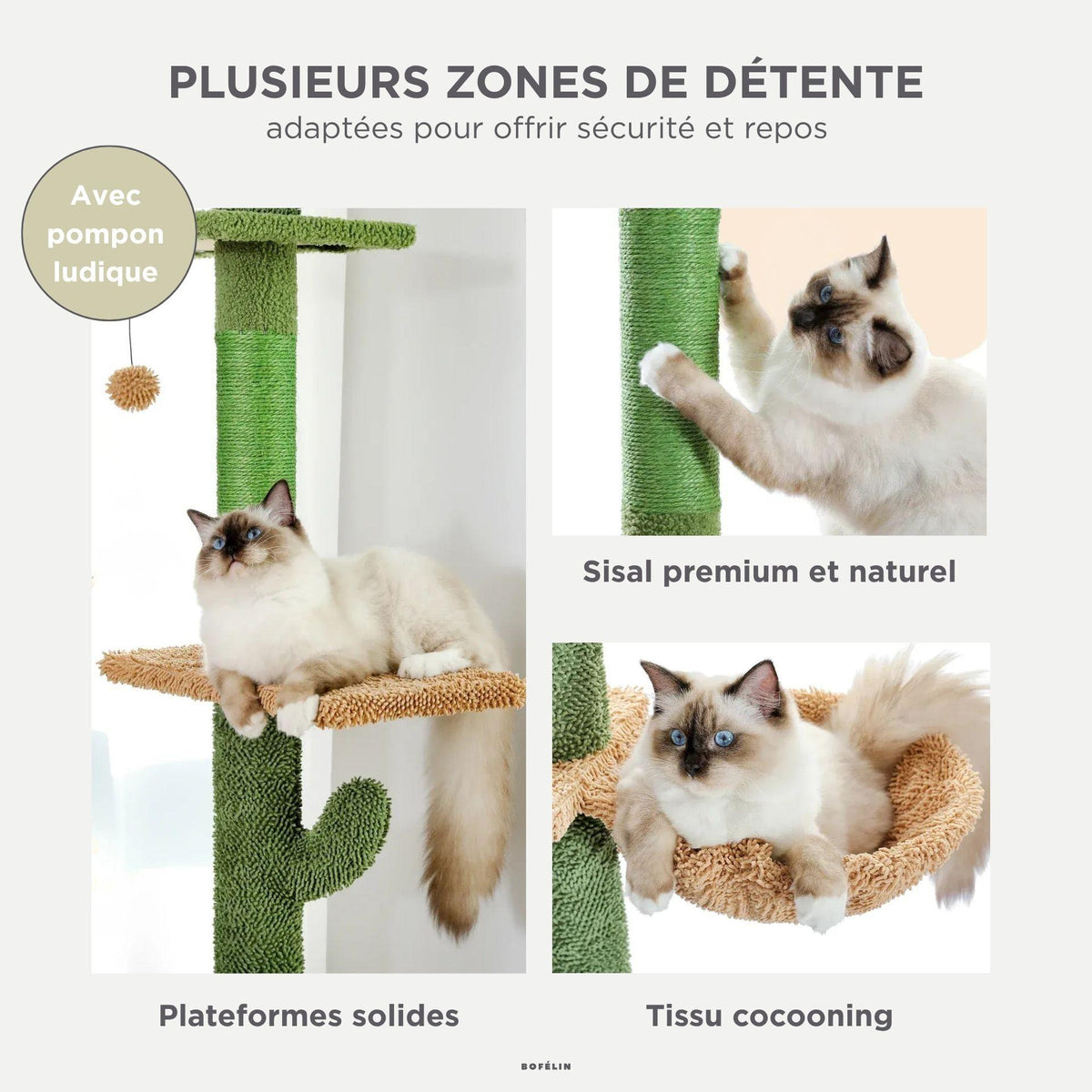 Arbre à chat sol plafond original