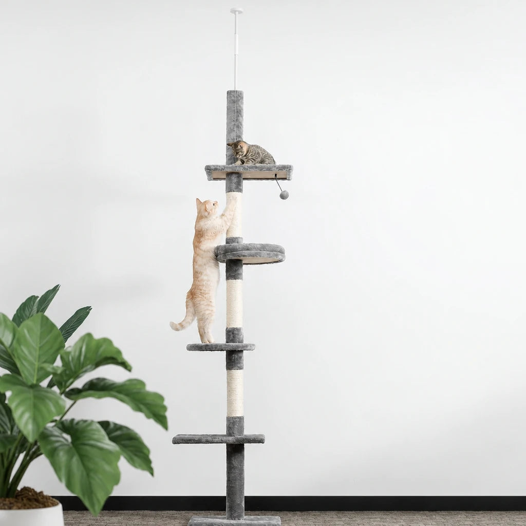 Arbre à chat sol plafond simple Alto Bofélin en situation