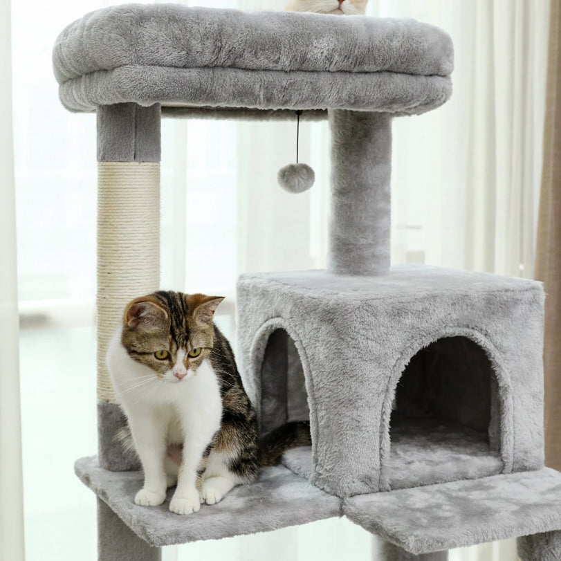 Arbre à chat spécial Maine Coon - Bofélin - 10