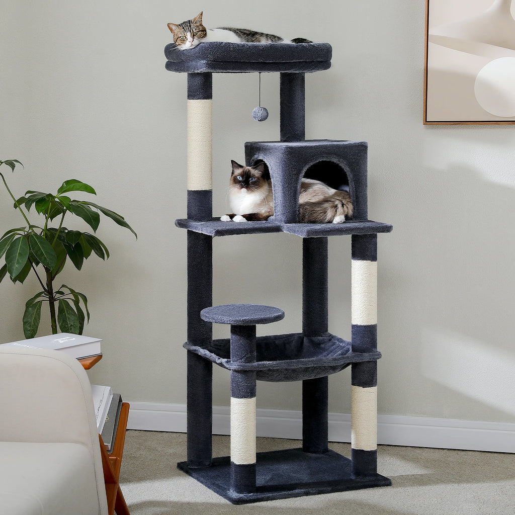 Arbre à chat spécial Maine Coon - Bofélin - 13