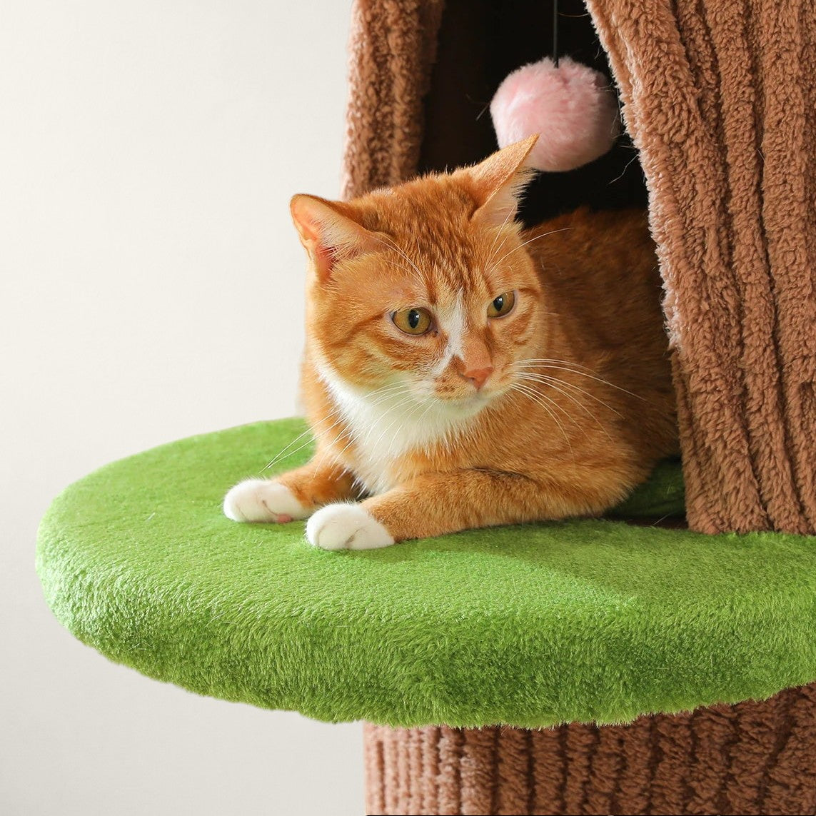 Arbre à chat tonneau XXL fleur - Bofélin - 7