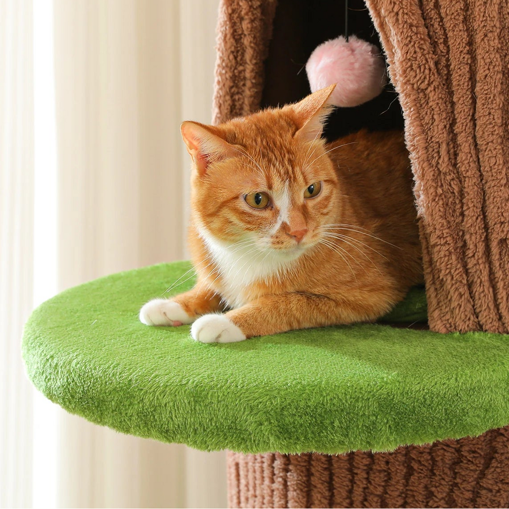 Arbre à chat tonneau XXL fleur - Bofélin - 7